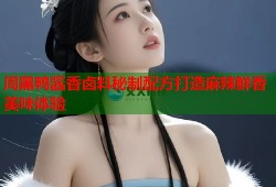 周黑鸭酱香卤料秘制配方打造麻辣鲜香美味体验