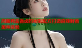 周黑鸭酱香卤料秘制配方打造麻辣鲜香美味体验