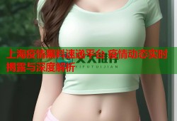上海疫情黑料速递平台 疫情动态实时揭露与深度解析